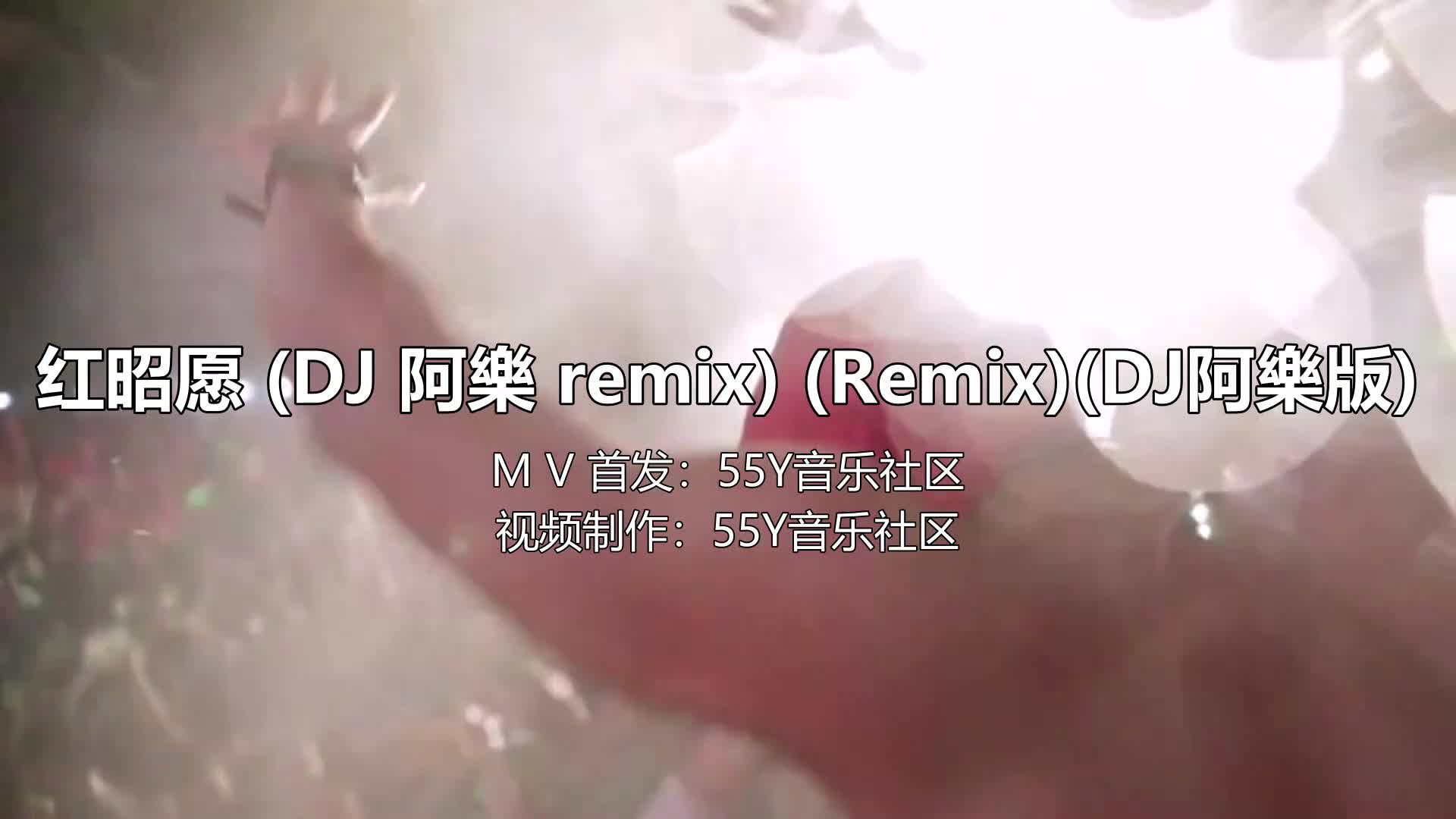 DJ阿樂 - 红昭愿 (Remix)